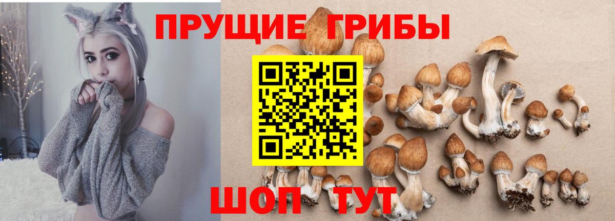 Галлюциногенные грибы ЛСД Усолье-Сибирское