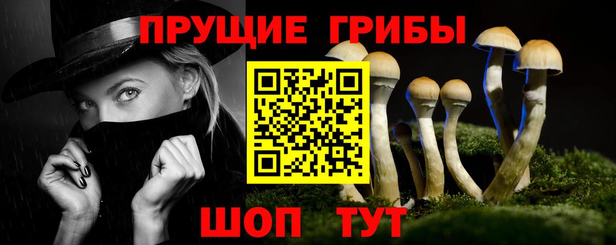 Усолье-Сибирское  Псилоцибиновые грибы Magic Shrooms  Вход с VPN 
